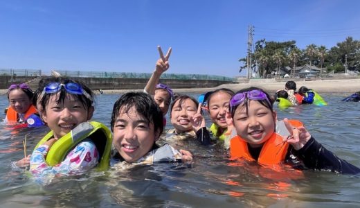 シロクマ「日間賀島で海遊び」