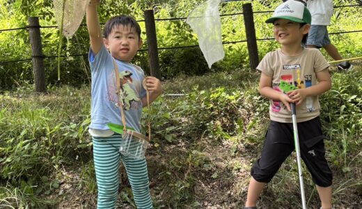 夏休み冒険プロジェクト『里山生き物探し＆小川あそび』