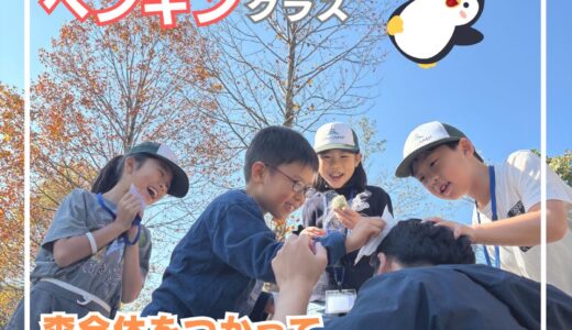 🐧 ステップ（ペンギン）11月「森の中で鬼ごっこ遊びに挑戦！」