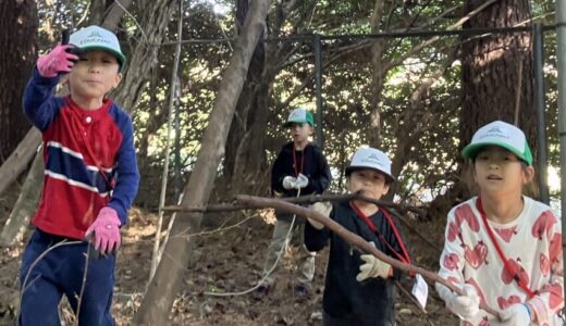 🌿 クローバーリスクラス11月「森で自然工作をしよう！」