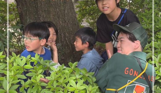 ステップ（パンダ）4月活動｜新しい1年のスタートと子どもたちの変化