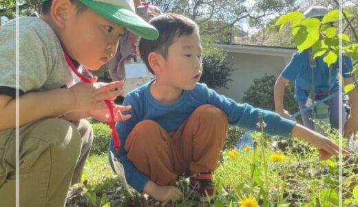 クローバーリス4月「春の生き物探しを楽しもう！」