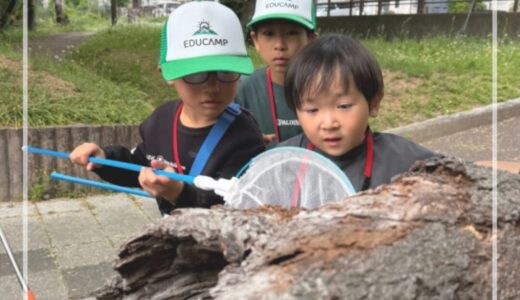 クローバーカメ4月「春の生き物探しを楽しもう！」