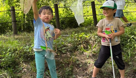 🔶夏のワクワクいきもの探検隊！！🔶