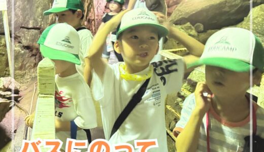 クローバー(カメ)8月「鍾乳洞を探検しよう！」✨